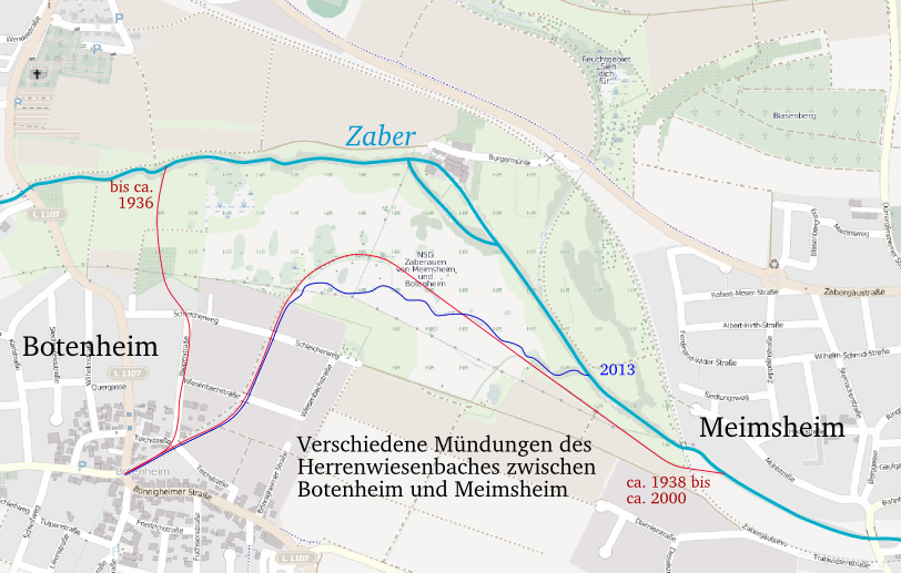 Skizze: die verschiedenen Mündungen des Herrenwiesenbaches