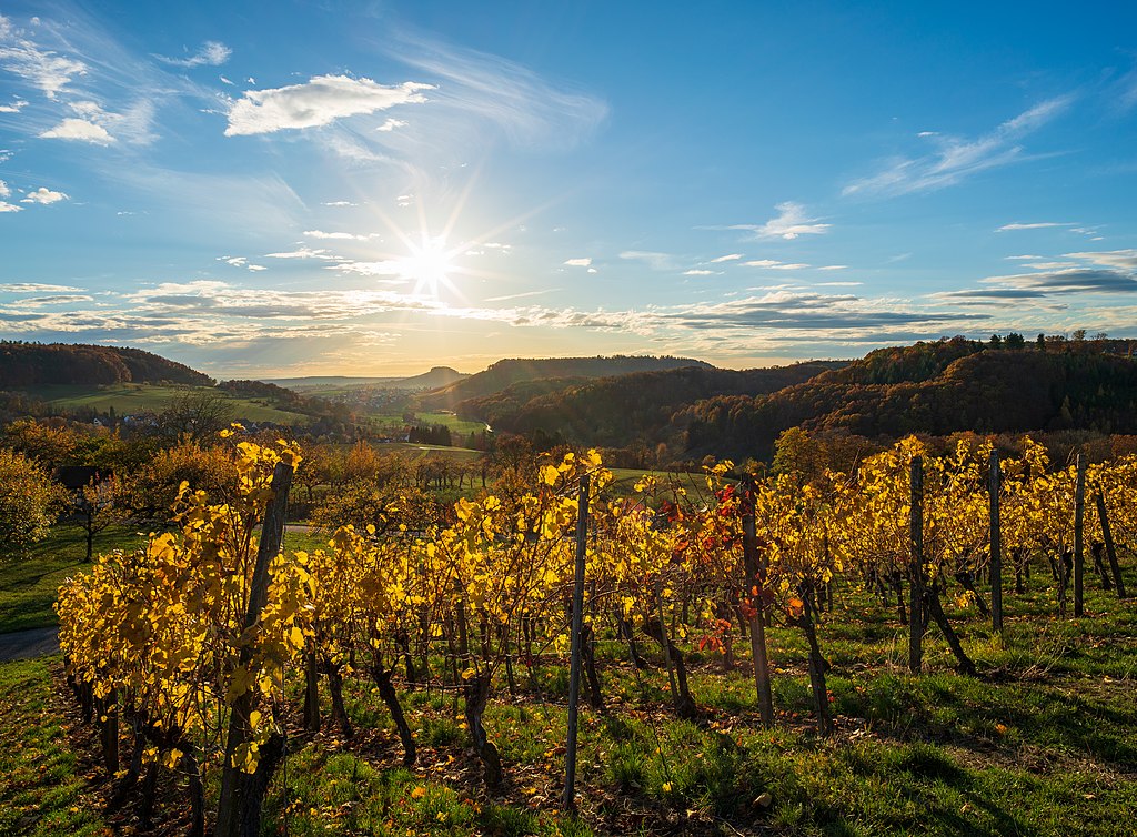 Schmidbach valley with November sun
