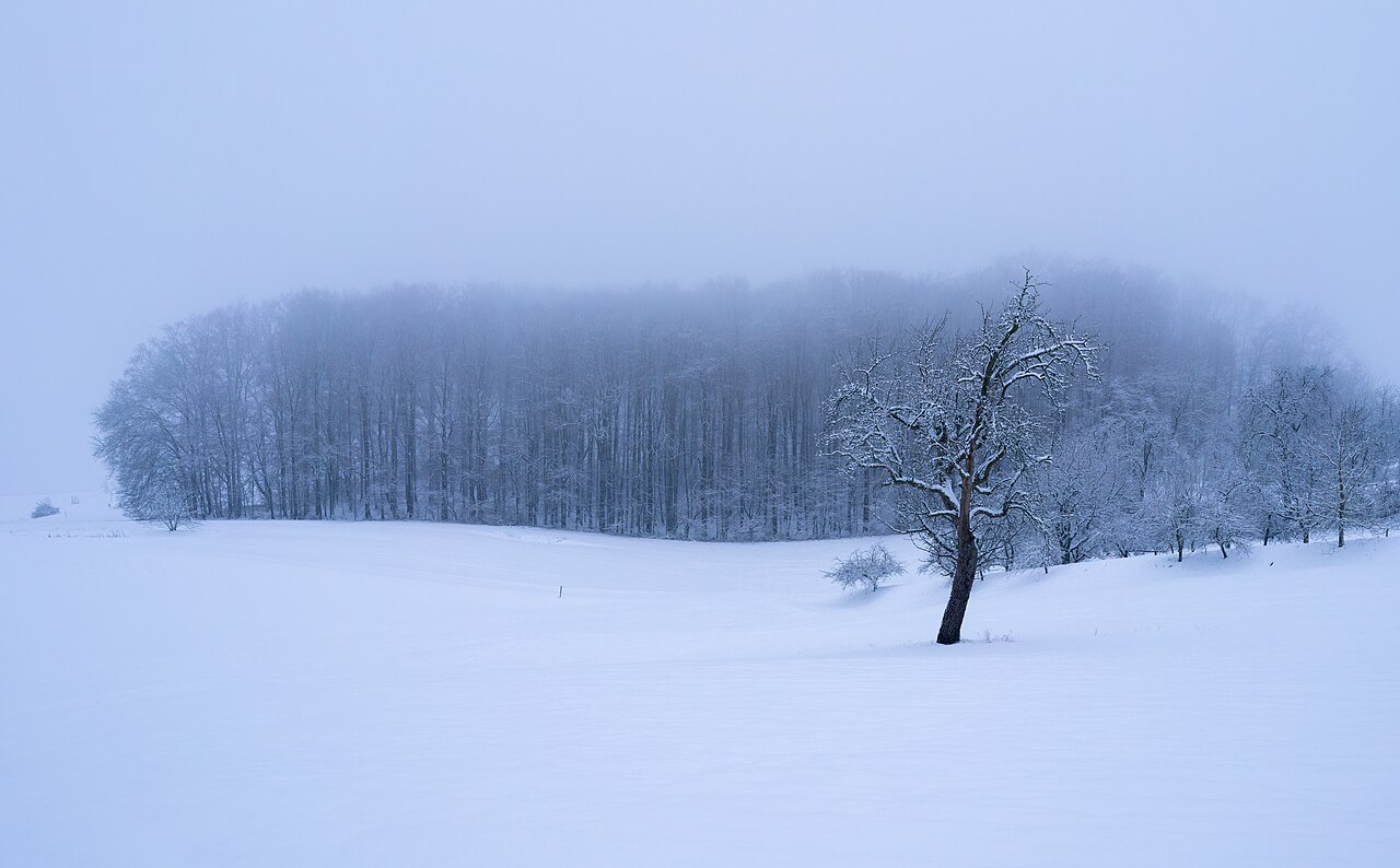 Winterdämmerung