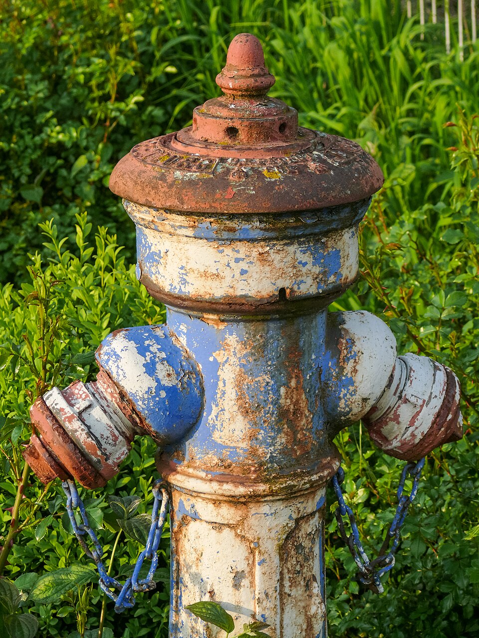 Heiterer Hydrant