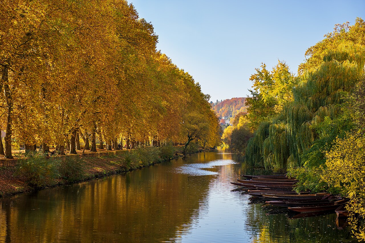 Autumn river