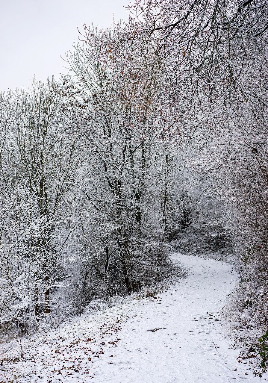 Hoar frost track