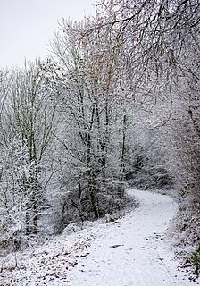 Hoar frost track