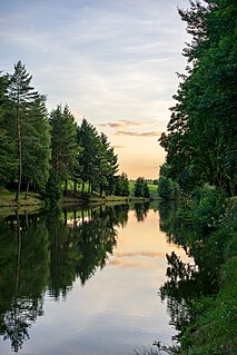 Golden hour at Lauxensee pond