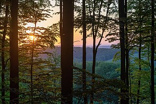 Farbenfroher Sonnenuntergang