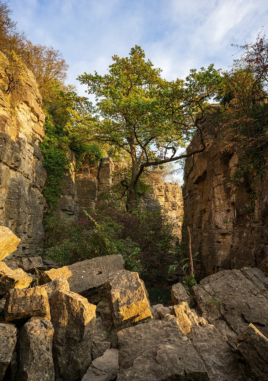 Rock gardens, Hessigheim