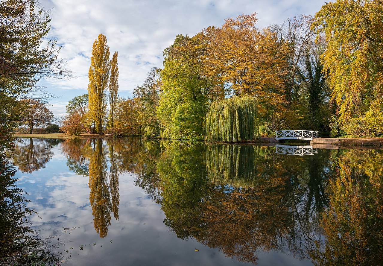 Herbstspiegelung