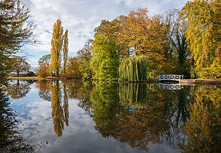 Herbstspiegelung