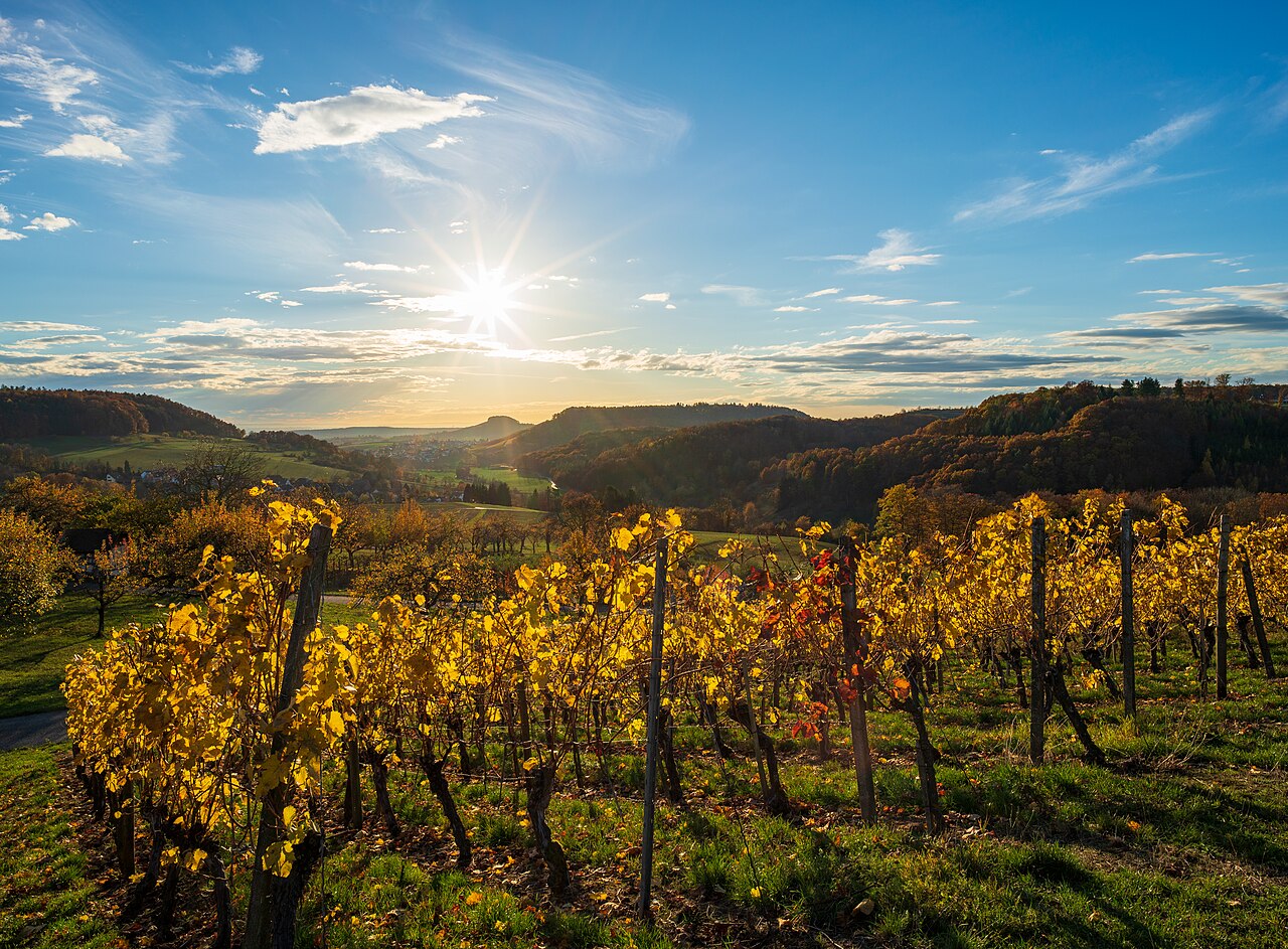 Schmidbach valley with November sun