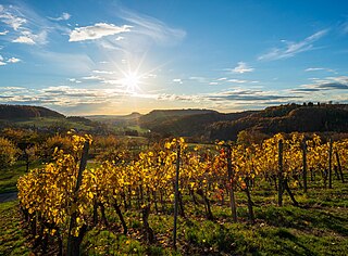 Schmidbachtal mit Novembersonnne