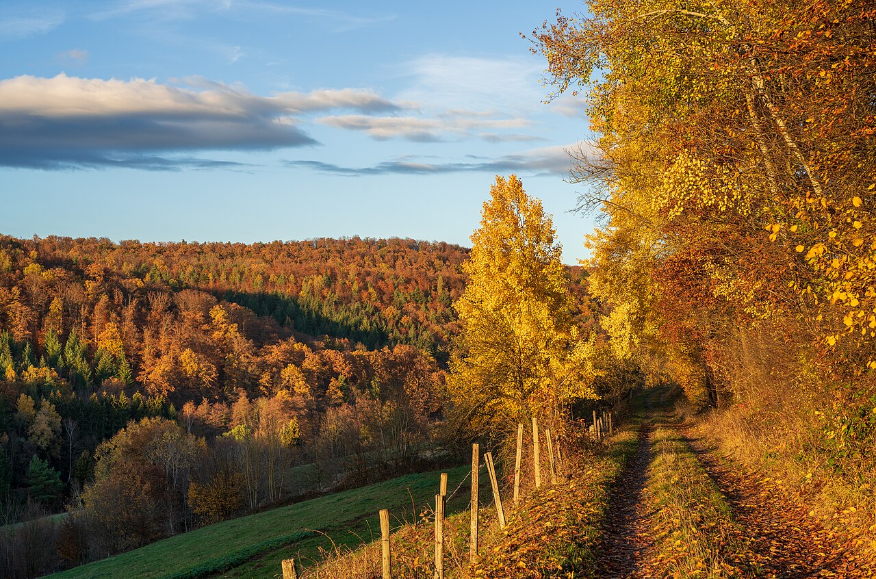 Herbstweg