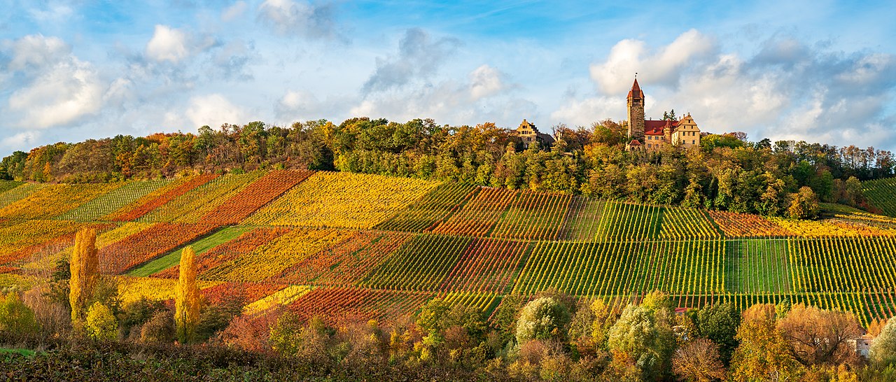 Weinberge von Schloss Stocksberg