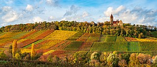 Vineyards of Stocksberg Castle