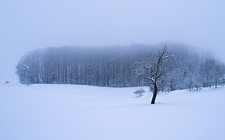 Winter dusk