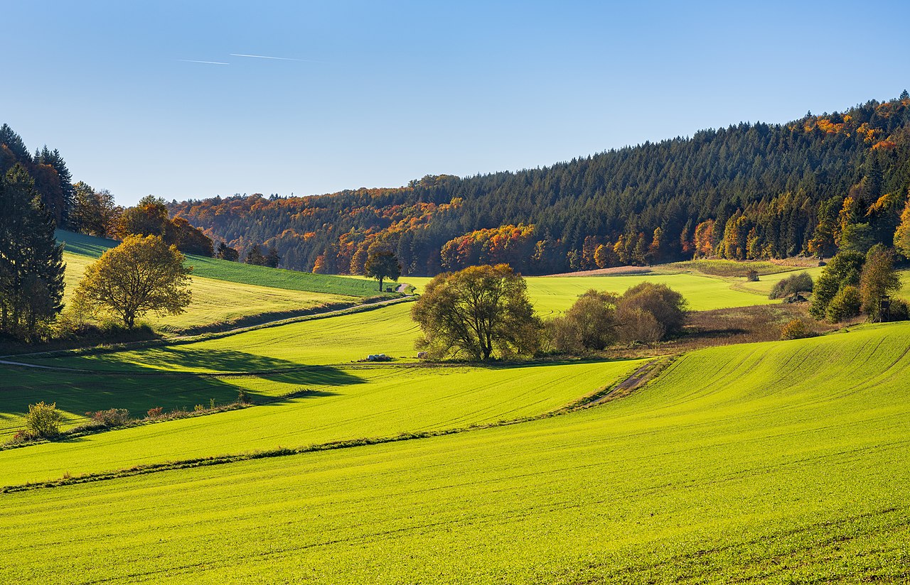 Autumn valley