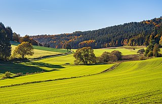 Autumn valley