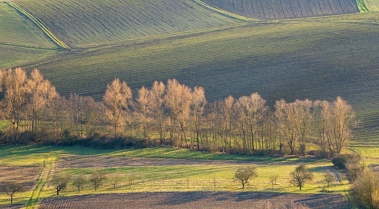 Beautiful backlight at the Heuerbach