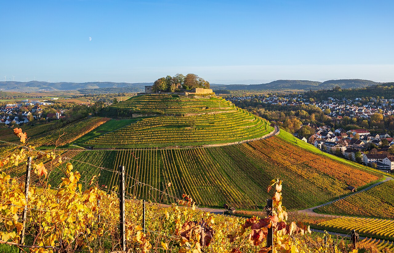 Burgberg mit Weibertreu