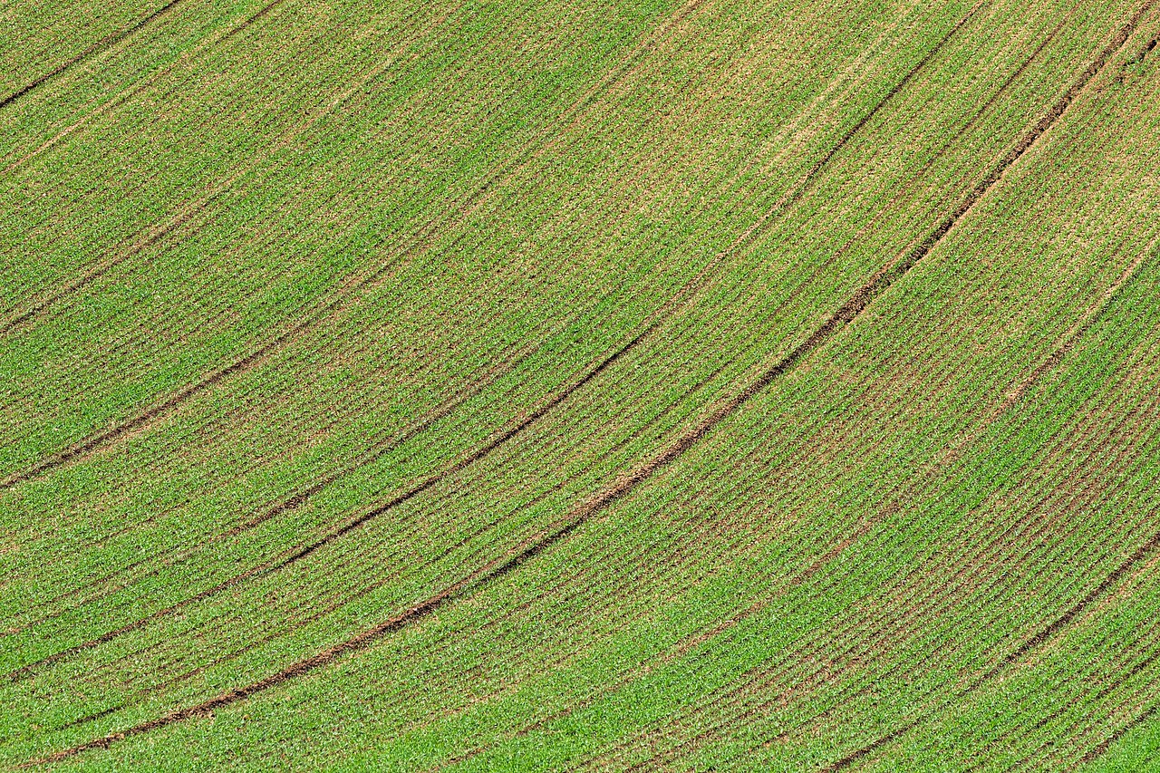 Geschwungene Ackerfurchen