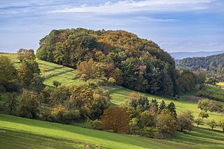 Herbstwäldchen