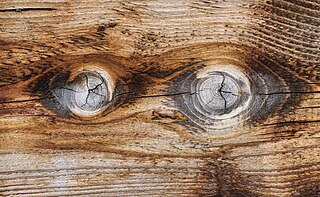 Wood eyes